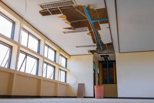 Best Flood restoration services  in East Riverdale, MD
