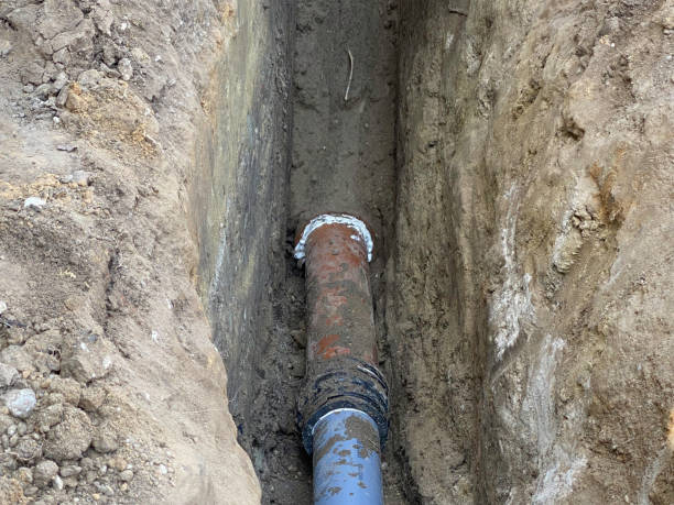 Best Flood damage cleanup  in East Riverdale, MD