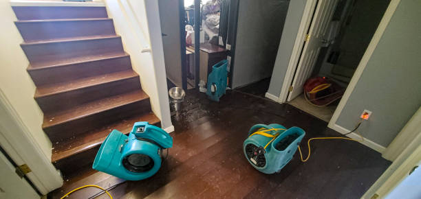  East Riverdale, MD Water damage restoration Pros