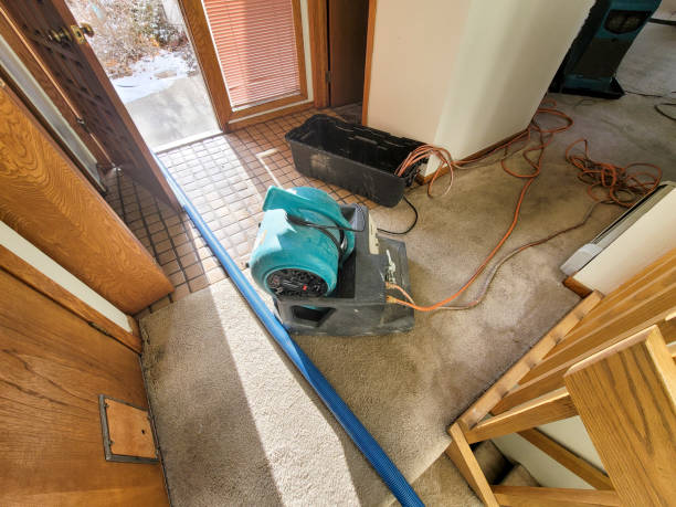 Best Flooded house restoration  in East Riverdale, MD