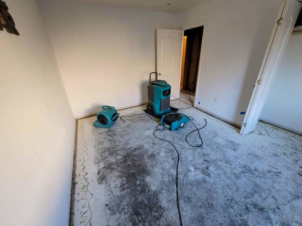 Best 24/7 water damage repair  in East Riverdale, MD