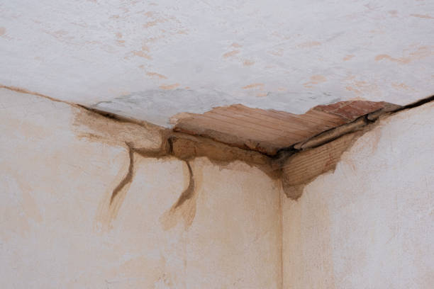 Best Water damage restoration services  in East Riverdale, MD