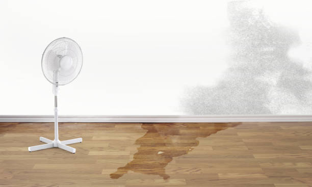Best Water damage contractors near me  in East Riverdale, MD