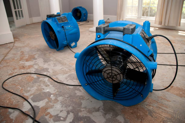 Best Local water damage restoration  in East Riverdale, MD