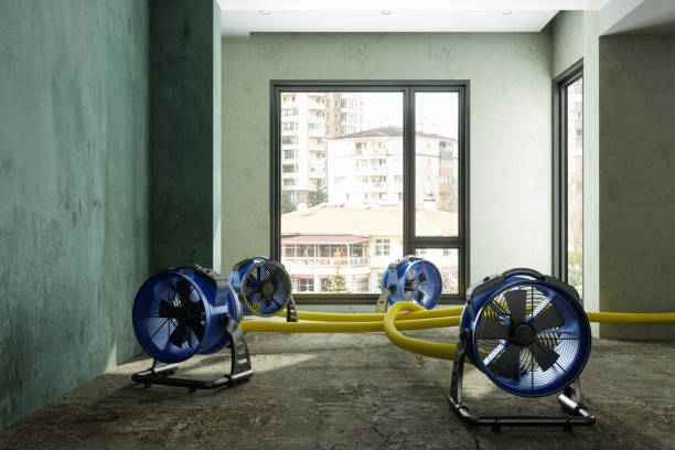 Best Carpet water damage restoration  in East Riverdale, MD
